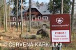 Království perníku