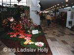 Výstaviště Flora Olomouc