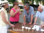 Trnávka