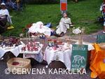 Setkání Jeníčků a Mařenek 2009