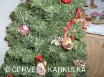 Vánoce v Perníkové chaloupce 2009