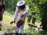 Medobraní a Den dětí 2010